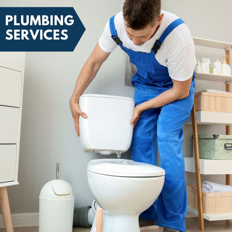 Plumbing Company in Lake Bluff, IL